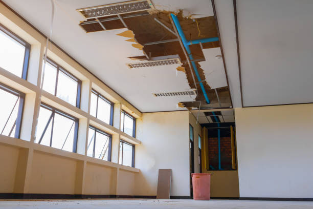 Best Flooded house restoration  in Maine, WI