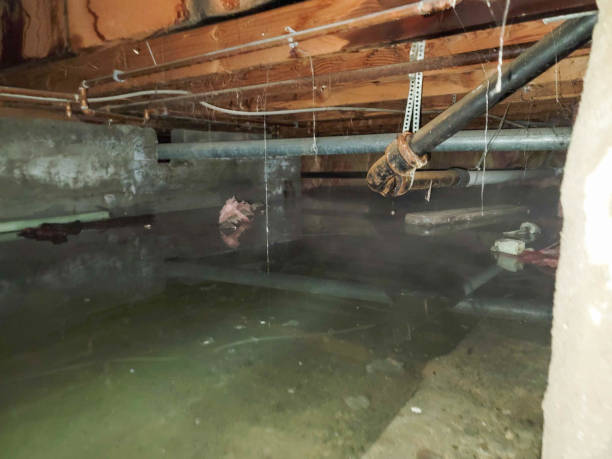 Local water damage restoration in Maine, WI