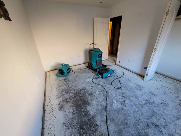 Best Basement water damage restoration  in Maine, WI