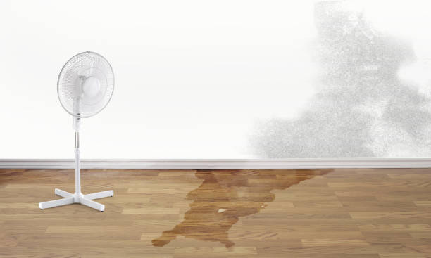 Trusted Maine, WI Water damage restoration Experts